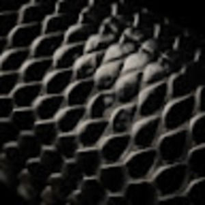 Meet your Posher, Henry